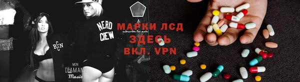 ПСИЛОЦИБИНОВЫЕ ГРИБЫ Армянск